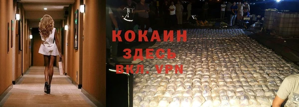 мет Арсеньев